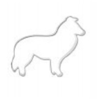 Ausstecher Collihund