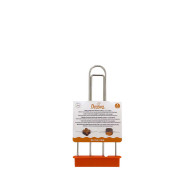 Pin für Panettone