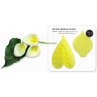 Arum Lily & Leaf Life Size