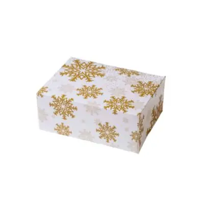 Keks Box 18x13,5x7,5cm Schneeflocke