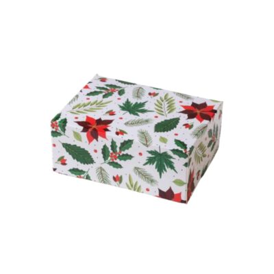 Keks Box 18x13,5x7,5cm Weihnachtsstern