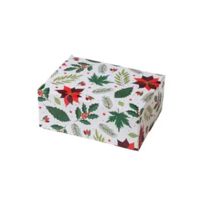 Keks Box 18x13,5x7,5cm Weihnachtsstern