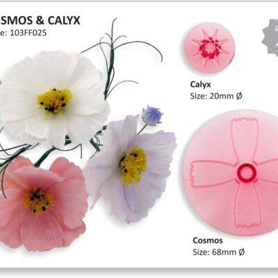 Cosmos and Calyx
