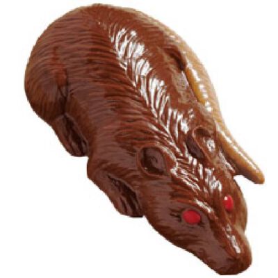 Candy Mould Ratte