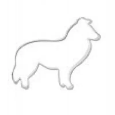 Ausstecher Collihund