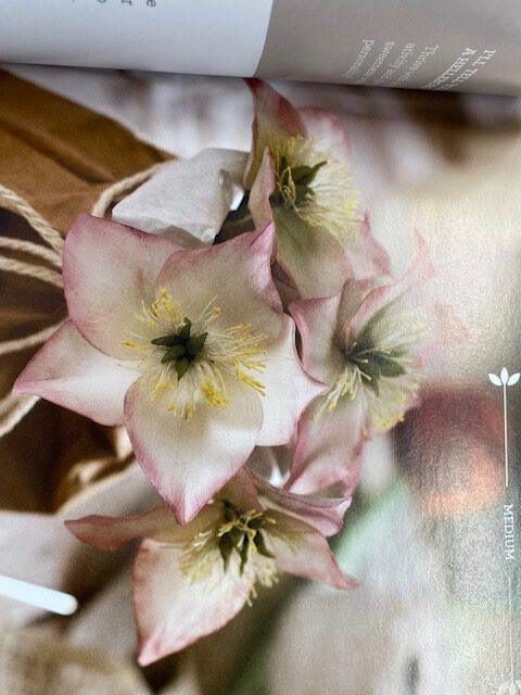 Winter Kit: Book with 8 cutters – Bild 4