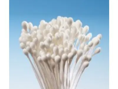 Blütenstempel Weiß, klein