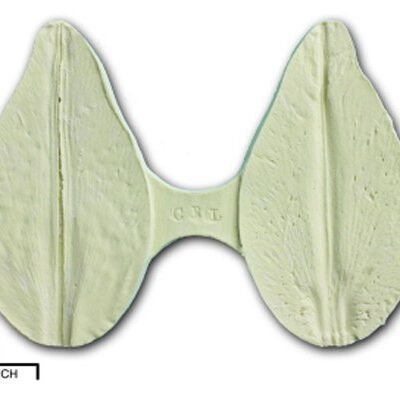 Blütenblatt Casablanca Liliy