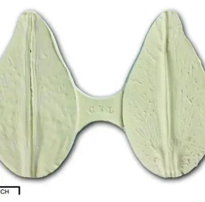 Blütenblatt Casablanca Liliy