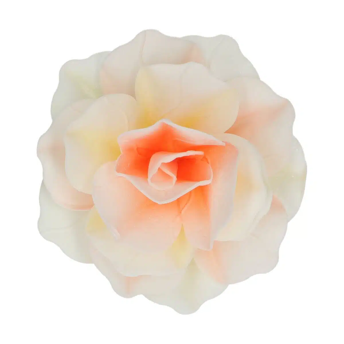 Deluxe Rose Pastella gelb/orange Oblate 1Stk. – Bild 2